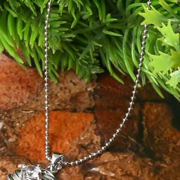 Jewelz Silver Plated & WhiteStudded Necklace-image-27