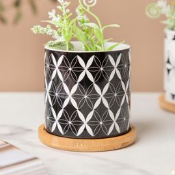 Nestasia Black and White Printed Ceramic Planter With Wooden Coaster-93