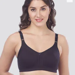 Maashie Pack of 2 Seamless Double Layered Cups Lace Side Panelled High Support Bra-image-9
