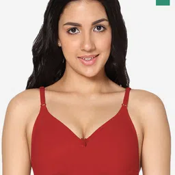 In Care Pack of 2 Full Coverage Cotton T-shirt Bra With All Day Comfort-picture-34