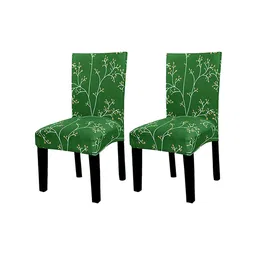 HOUSE OF QUIRK Set Of 2 Green Printed Chair Cover-34