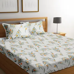 URBAN DREAM White & Orange 210 TC Cotton Queen Bedsheet with 2 Pillow Covers-image-71