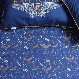 Silverlinen Harry Potter Ravenclaw 250 TC Queen Bedsheet with 2 Pillow Covers-image-0