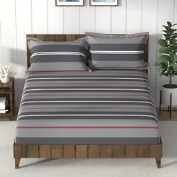 Nautica Grey & White Striped 160 TC Cotton Queen Bedsheet with 2 Pillow Covers-image-95