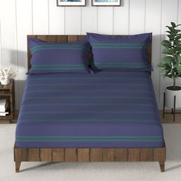 Nautica Blue & Green Striped 160 TC Cotton Queen Bedsheet with 2 Pillow Covers-image-45