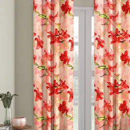 Cortina Single Floral Printed Door Curtain-22