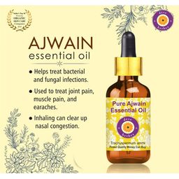Deve Herbes Natural Therapeutic Grade Pure Ajwain Essential Oil with Dropper - 15 ml image 3