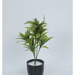 home bloom Artificial Dracaena Green Bus Plants with Pot image 3