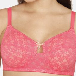 zivame Wildberry Fling Double Layered Non-Wired Non-Padded 3/4th Coverage Bra image 4