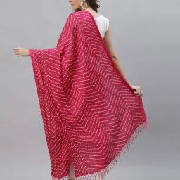 stylum Bandhani Print Dupatta with Tassels image 4
