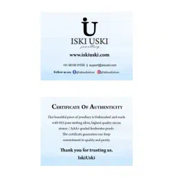 iski uski 925 Sterling Silver Stone-Studded Earrings image 4