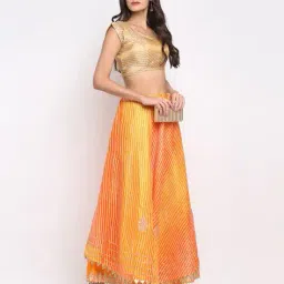 svaraa Women Embellished Flared Skirt image 4