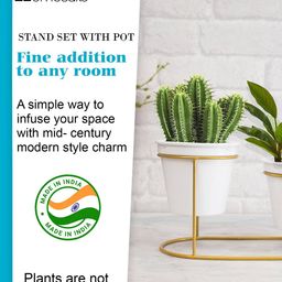 homesake Set of 2 Oval Planter Stand with Pots image 5