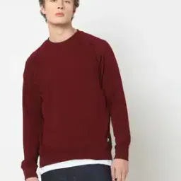 Men Slim Fit Crew-Neck Sweatshirt-image-67