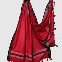 Women Zari Woven Dupatta with Tassels-32