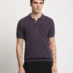 Men Checked Regular Fit Polo T-Shirt-image-62