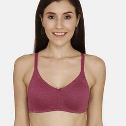 Essentials Double Layered Non-Wired Non-Padded Full Coverage T-Shirt Bra-image-19