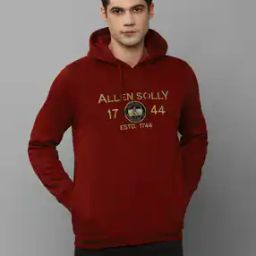 allen solly Men Logo Embroidered Regular Fit Hooded Sweatshirt-picture-35
