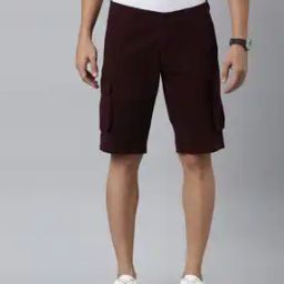 Men Regular Fit Cargo Shorts with Insert Pockets-picture-12
