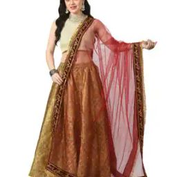 Women Embroidered Dupatta-picture-31