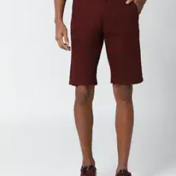 Men Patterned Regular Fit Flat-Front Shorts-picture-3