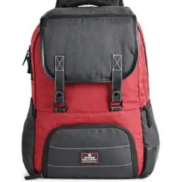 POSH Unisex Laptop Backpack-46