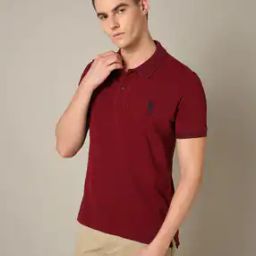Slim Fit Cotton Polo T-Shirt-image-13