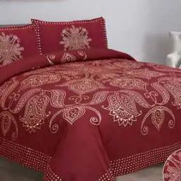 240 TC Printed Double Bedsheet with 2 Pillow Covers-image-19