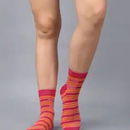 Women Pack of 5 Striped Socks-image-106