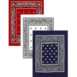 Paisley Unisex Cotton Paisley Bandanas-image-68