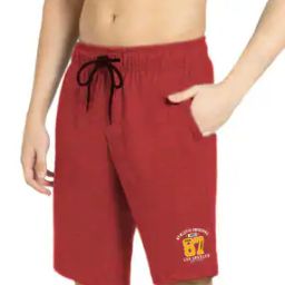 Men Self-design Regular Fit Shorts-image-40
