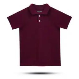 Boys Regular Fit Cotton Polo T-Shirt-image-74