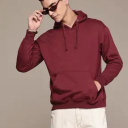 Men Regular Fit Hoodie-image-103
