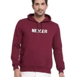 Men Regular Fit Hooded Sweatshirt-image-98