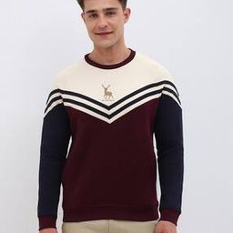 Men Self-design Sweatshirt-image-55