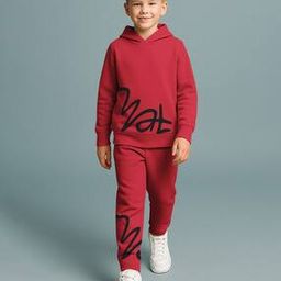 hellcat Boys Graphic Print Hoodie & Track Pants Set-picture-14