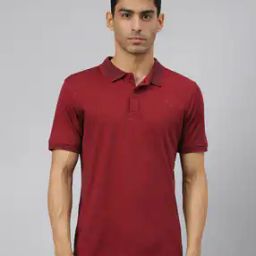 Collar-Neck Polo T-Shirt-image-62