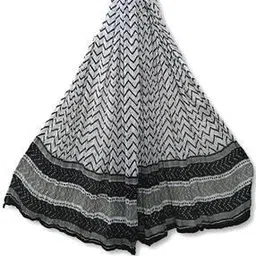 molcha by babita singh Women Chevron Dupatta with Stitch Detail-picture-13