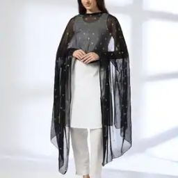 Women Geometric Woven Dupatta-image-60