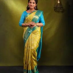 Women Traditional Saree-picture-30