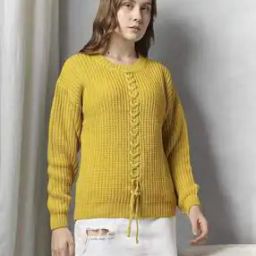Women Ribbed Regular Fit Pullover with Tie-Up-image-44