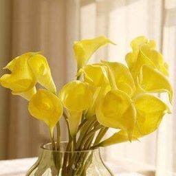 Calla Lily Artificial Flower Stem-50