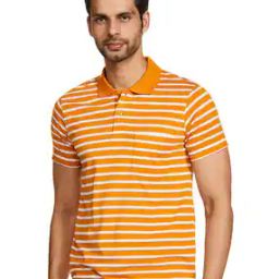 Striped Polo T-shirt with Patch Pocket-image-69