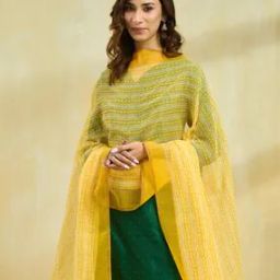 Women Dupatta with Contrast Border-40