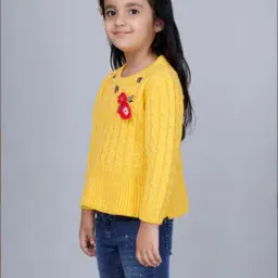 Floral Applique Knitted Round-Neck Pullover-image-44