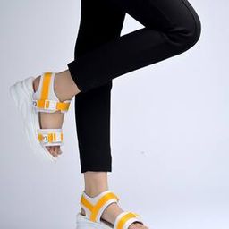 Women Colourblock Chunky Heeled Sandals-image-23