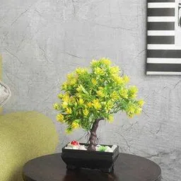 Branched Bonsai Tree with Pots-image-6