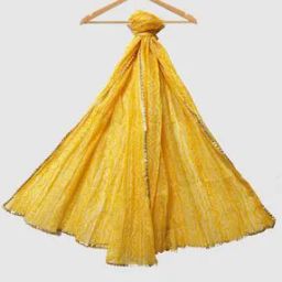 Women Printed Dupatta with Lace Border-picture-45
