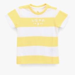 Boys Striped Regular Fit Round-Neck T-Shirt-picture-27