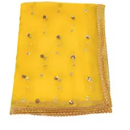 Embellished Dupatta with Lace Border-image-46
